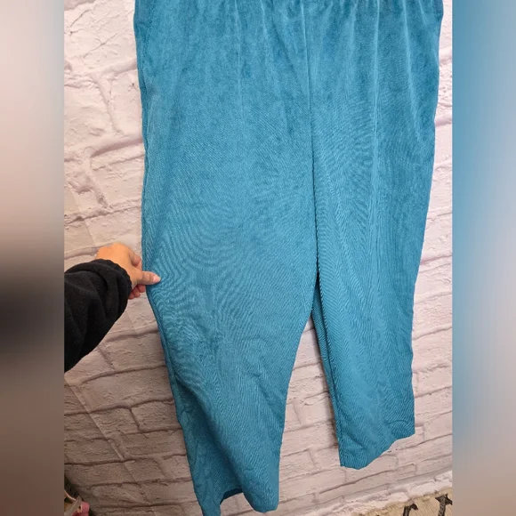 NWT Alfred Dunner Adirondack Trail French Terry Casual Pants Size 18P - Picture 6 of 7